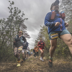 Foto: Eduardo Hernández