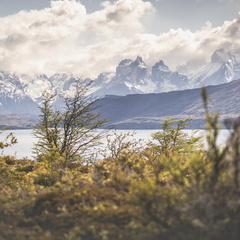 Foto: Eduardo Hernández