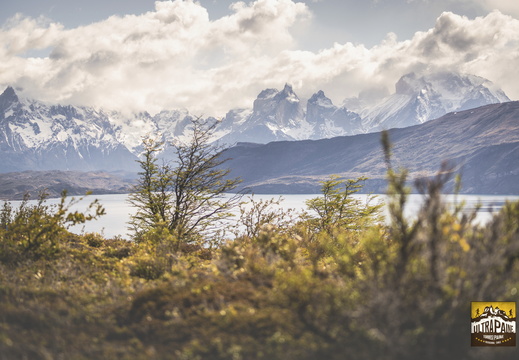 Foto: Eduardo Hernández