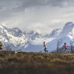 Foto: Eduardo Hernández