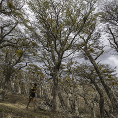 Foto: Alejandro Zoñez