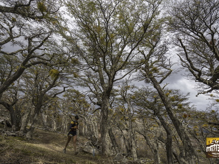 Foto: Alejandro Zoñez