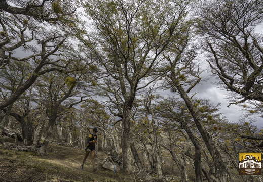 Foto: Alejandro Zoñez