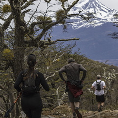 Foto: Alejandro Zoñez