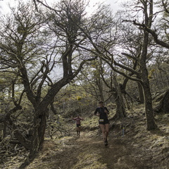 Foto: Alejandro Zoñez