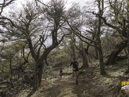 Foto: Alejandro Zoñez