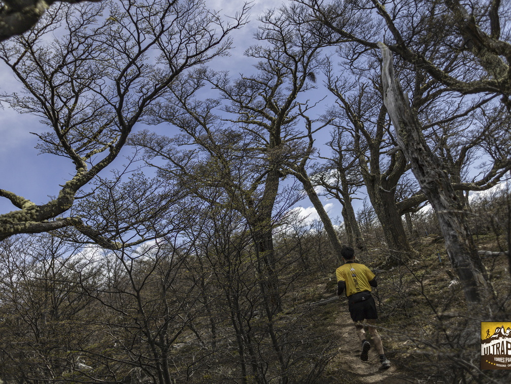 Foto: Alejandro Zoñez