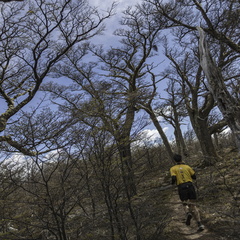 Foto: Alejandro Zoñez