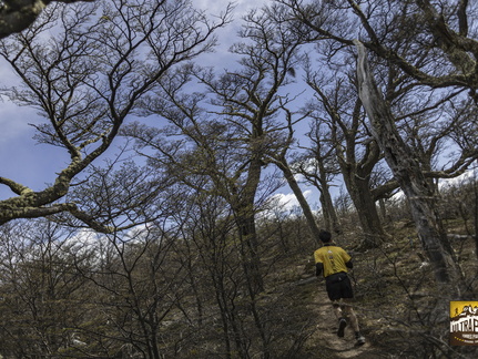 Foto: Alejandro Zoñez