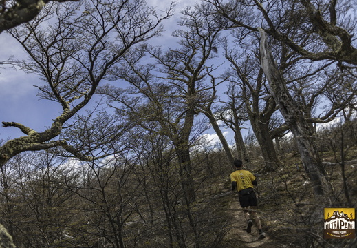 Foto: Alejandro Zoñez