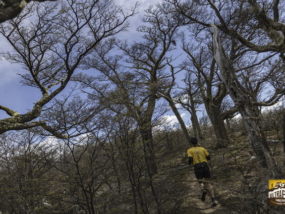 Foto: Alejandro Zoñez