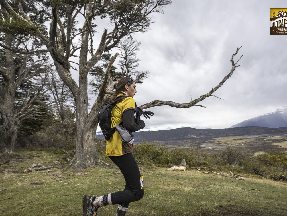 Foto: Alejandro Zoñez