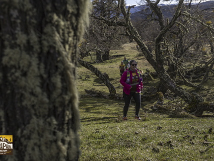 Foto: Alejandro Zoñez