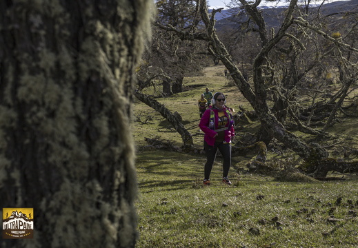 Foto: Alejandro Zoñez