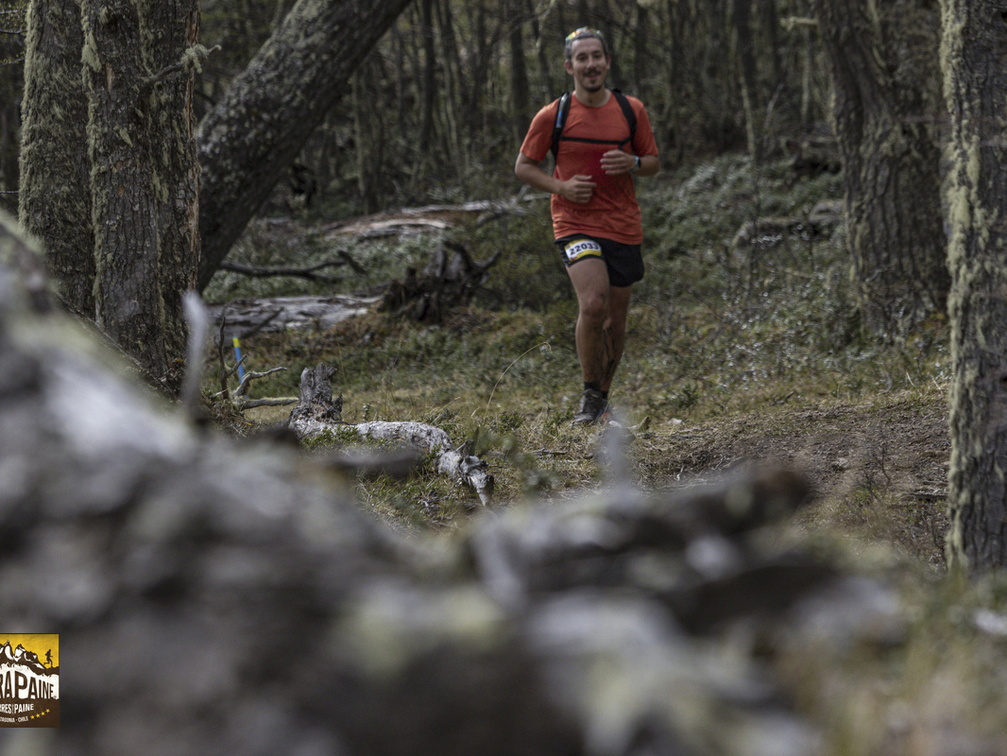 Foto: Alejandro Zoñez