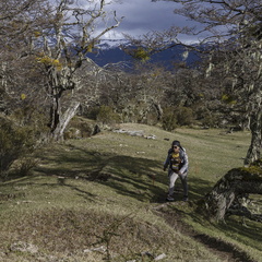 Foto: Alejandro Zoñez