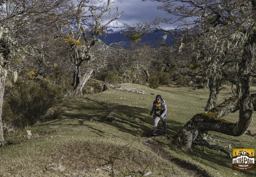 Foto: Alejandro Zoñez