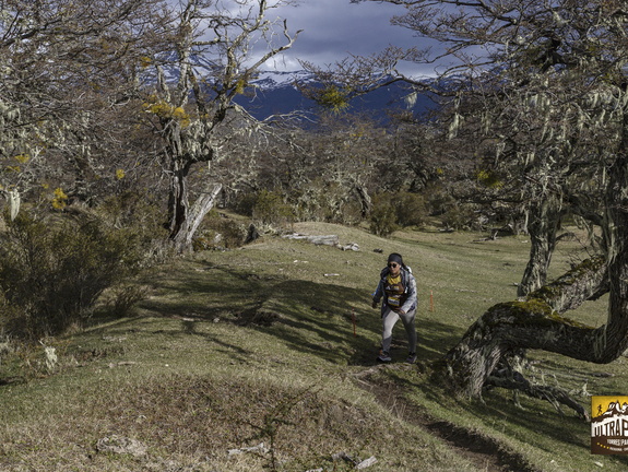 Foto: Alejandro Zoñez