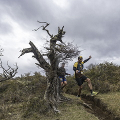 Foto: Alejandro Zoñez