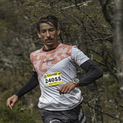 Foto: Alejandro Zoñez