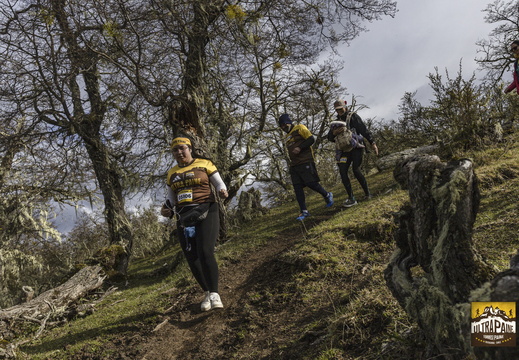 Foto: Alejandro Zoñez