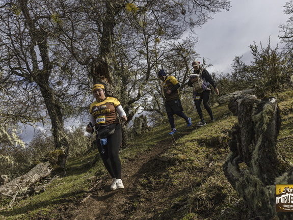 Foto: Alejandro Zoñez