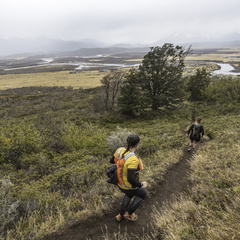 Foto: Alejandro Zoñez