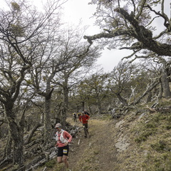 Foto: Alejandro Zoñez