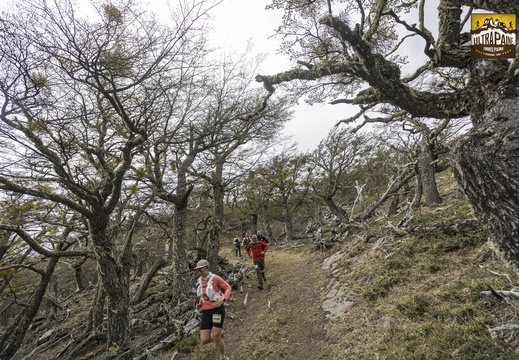 Foto: Alejandro Zoñez