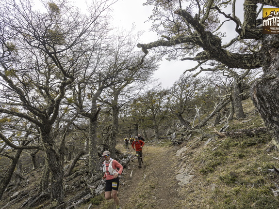 Foto: Alejandro Zoñez