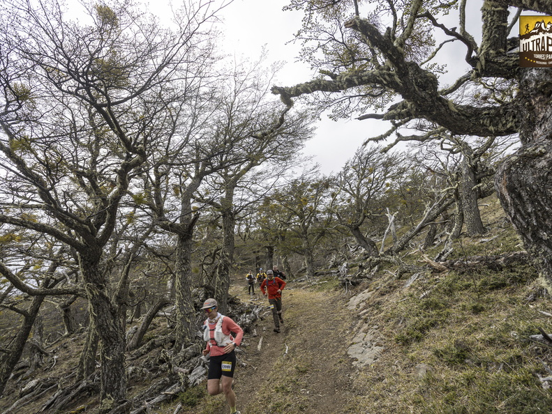 Foto: Alejandro Zoñez