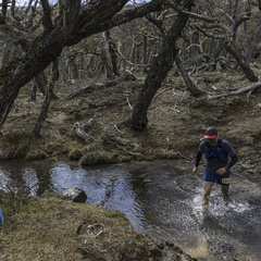 Foto: Alejandro Zoñez