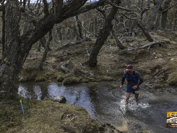 Foto: Alejandro Zoñez