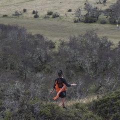 Foto: Alejandro Zoñez