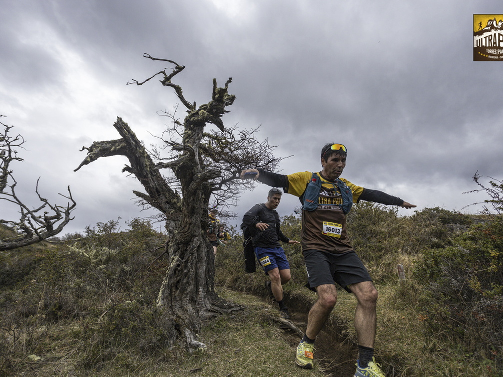 Foto: Alejandro Zoñez