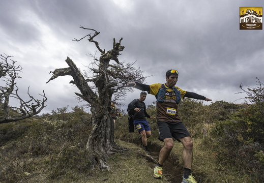 Foto: Alejandro Zoñez