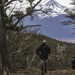 Foto: Alejandro Zoñez