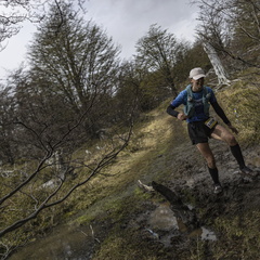 Foto: Alejandro Zoñez