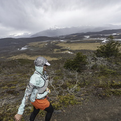 Foto: Alejandro Zoñez