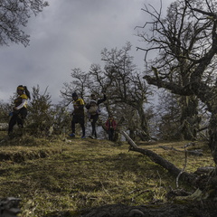 Foto: Alejandro Zoñez