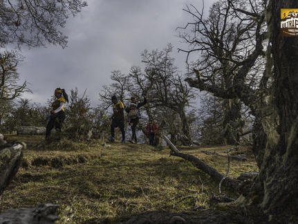 Foto: Alejandro Zoñez