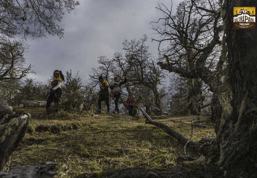 Foto: Alejandro Zoñez