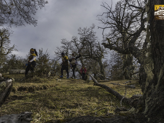 Foto: Alejandro Zoñez