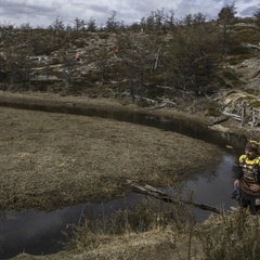 Foto: Alejandro Zoñez