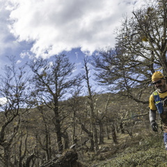 Foto: Alejandro Zoñez