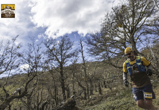 Foto: Alejandro Zoñez