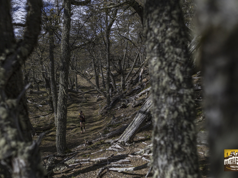 Foto: Alejandro Zoñez