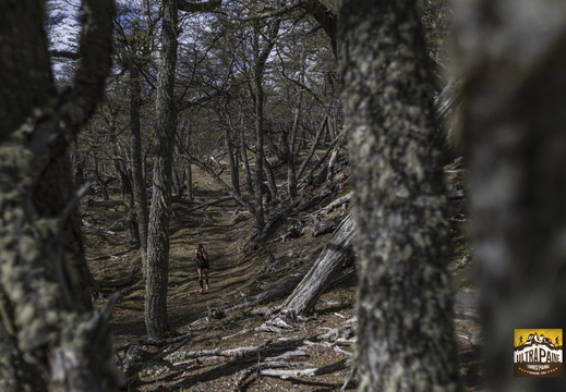 Foto: Alejandro Zoñez