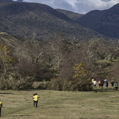 Foto: Alejandro Zoñez