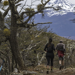 Foto: Alejandro Zoñez